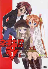 kiba-1371.jpg